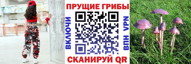 Псилоцибиновые грибы Magic Shrooms  Новомосковск 