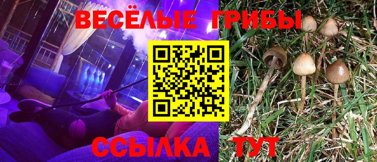 даркнет сайт  Галлюциногенные грибы Magic Shrooms  Вход с VPN  Галлюциногенные грибы MAGIC MUSHROOMS  Новомосковск 